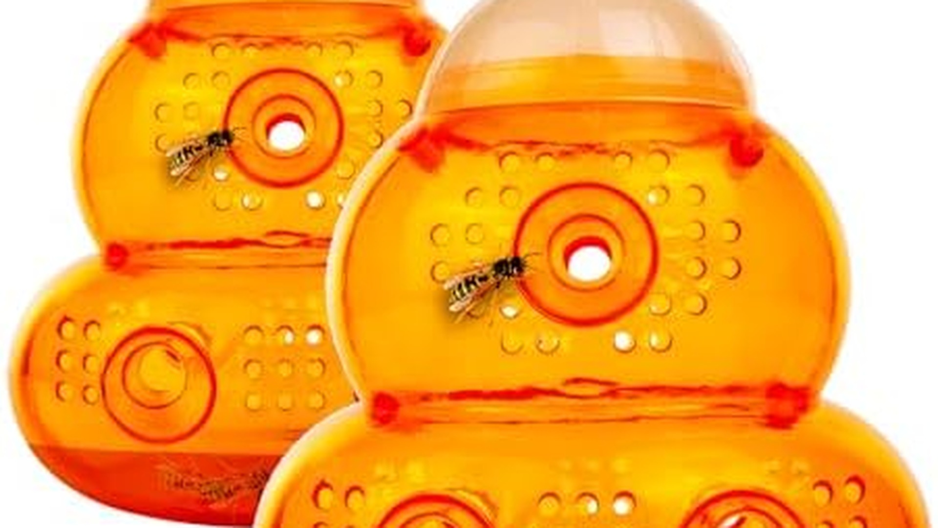 ASPECTEK trappola per vespe e calabroni 2 pezzi colore giallo con gancio appendibile