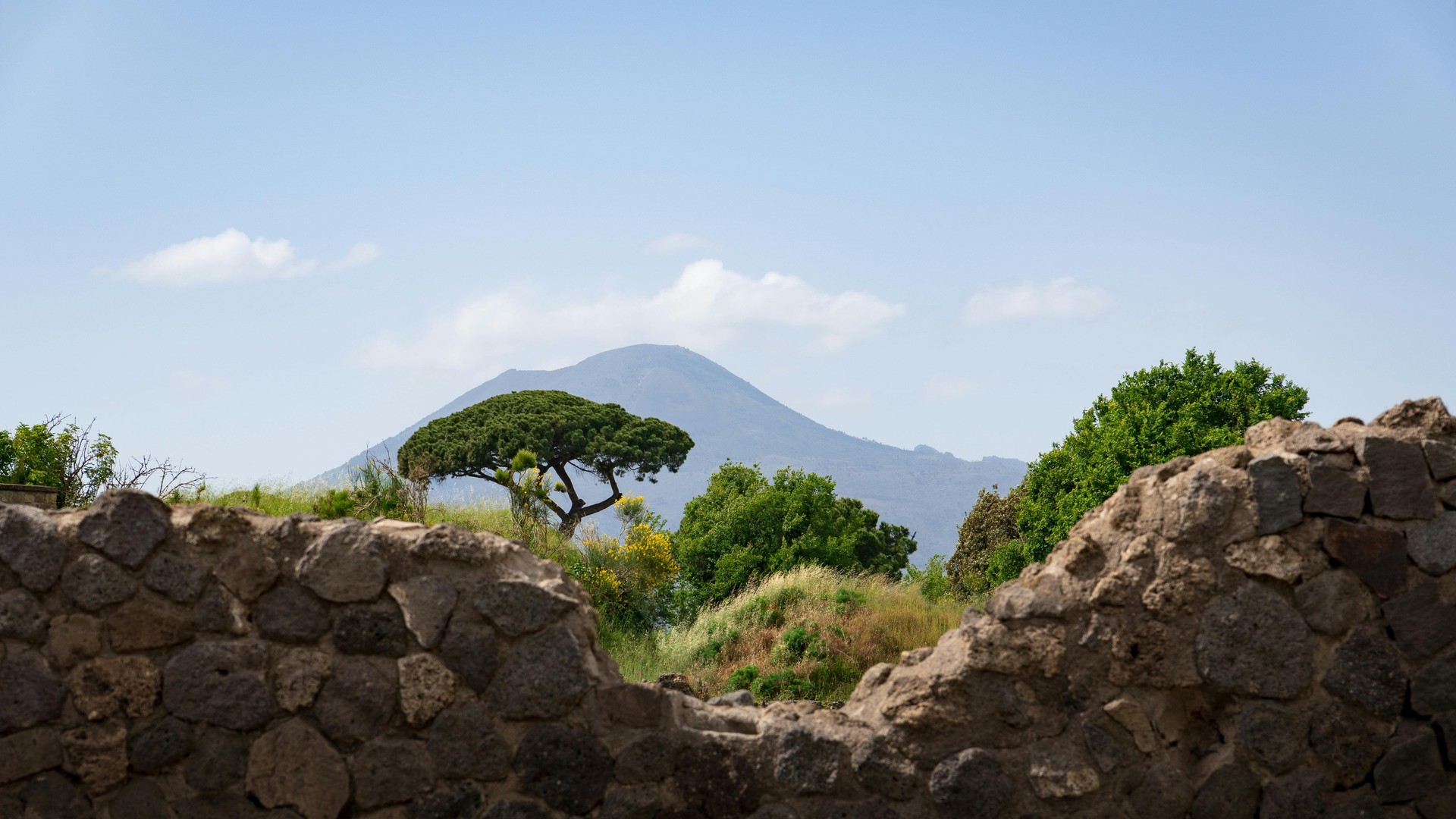 Tour Pompei e Vesuvio da Roma 2026