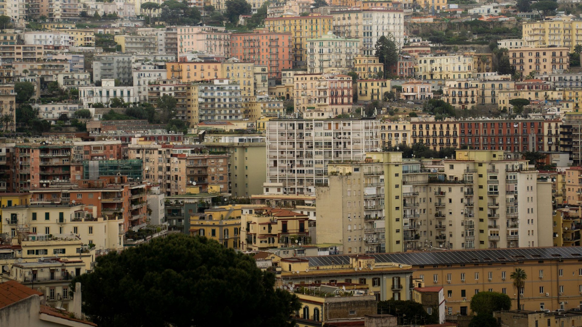 Napoli centro storico - tour guidati 2026
