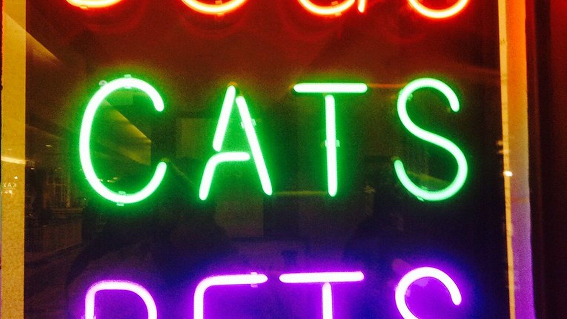 zooplus, offerte su cibo e accessori per cani e gatti, giugno 2026